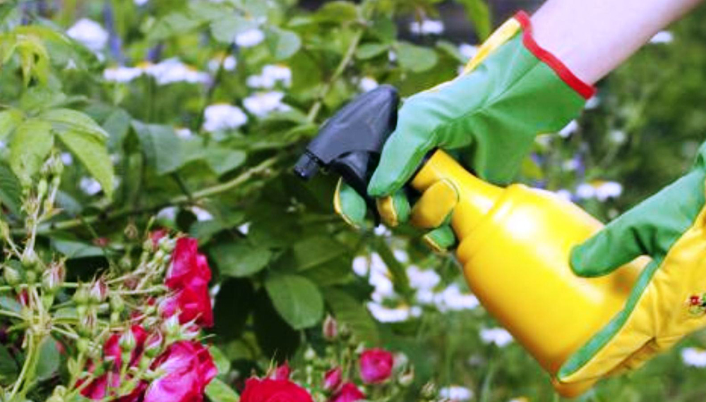 Fertilizantes Naturales
